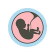 depositphotos_101315036-baby-in-womb-icon